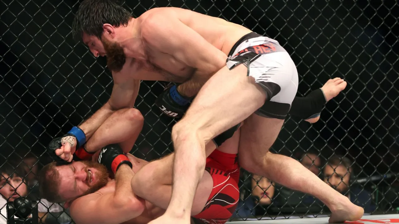 magomed ankalaev