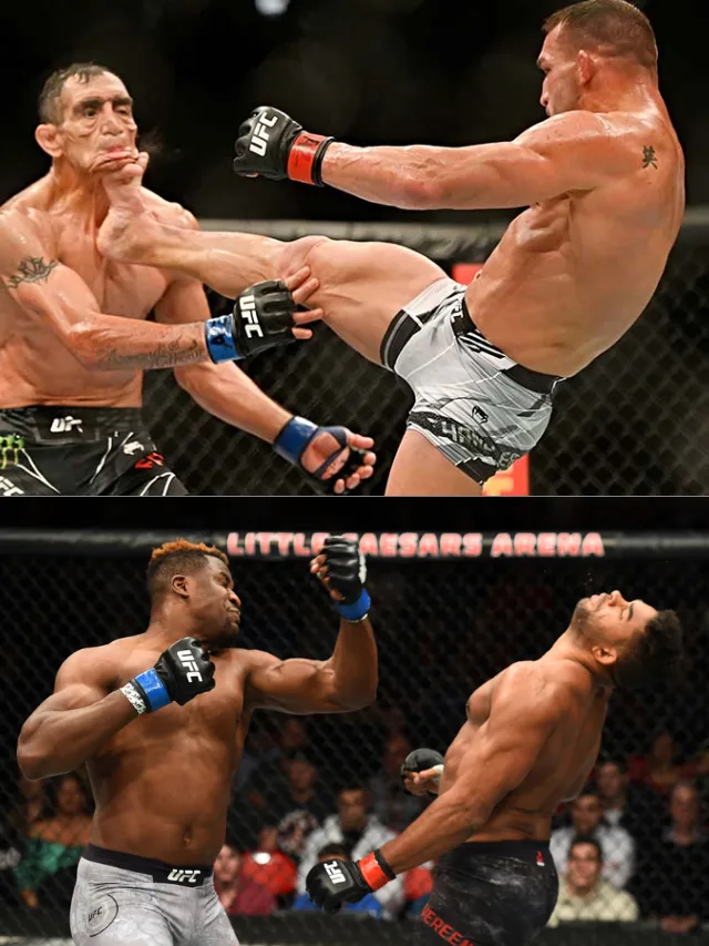 fightmanics
