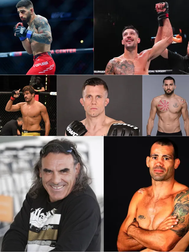 fightmanics