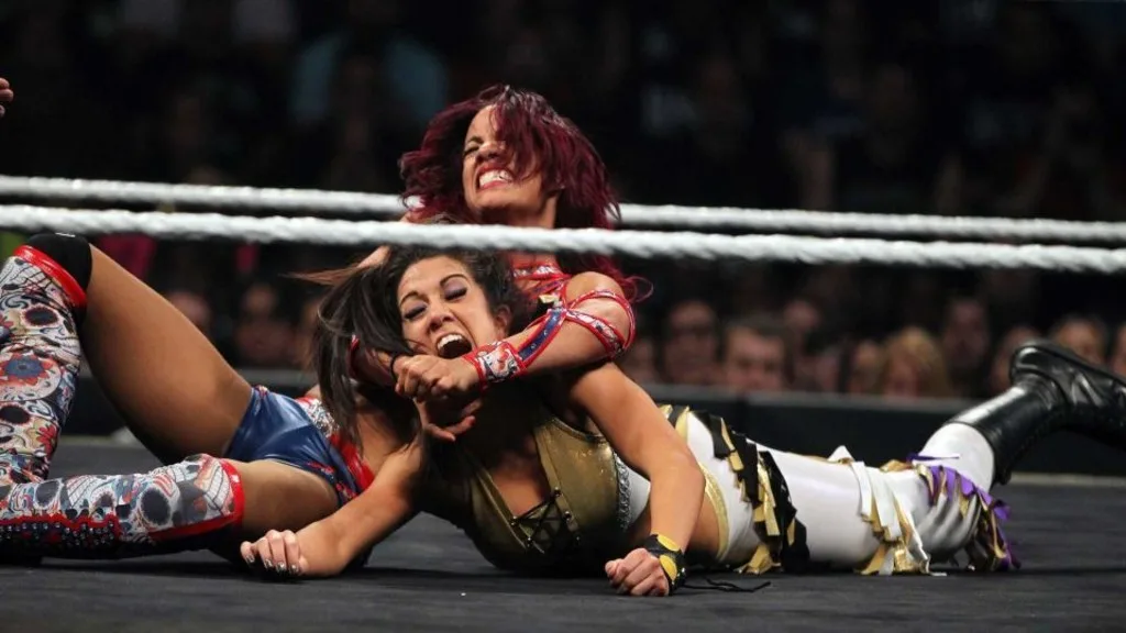 Sasha Banks vs. Bayley at NXT TakeOver Brooklyn 2015